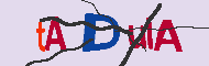 Code Captcha