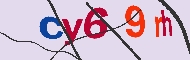 Code Captcha